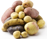 Nyhetsbrev från hungrig.nu – massor om potatis