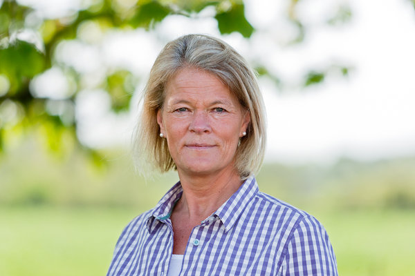 Tillträdande VD AnnaKarin Hamilton